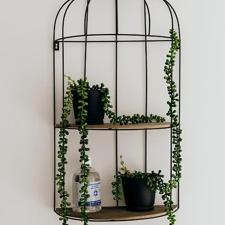 Dandy's Blue * Сетубал