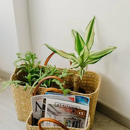 Апартаменты Dandy's Blue Сетубал