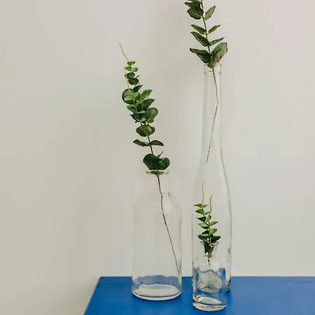 Dandy's Blue Сетубал