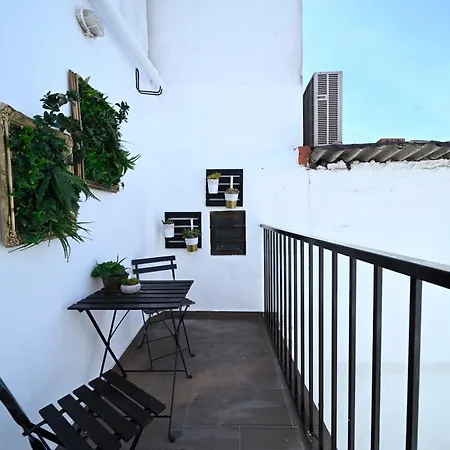 Dandy's Blue Setubal