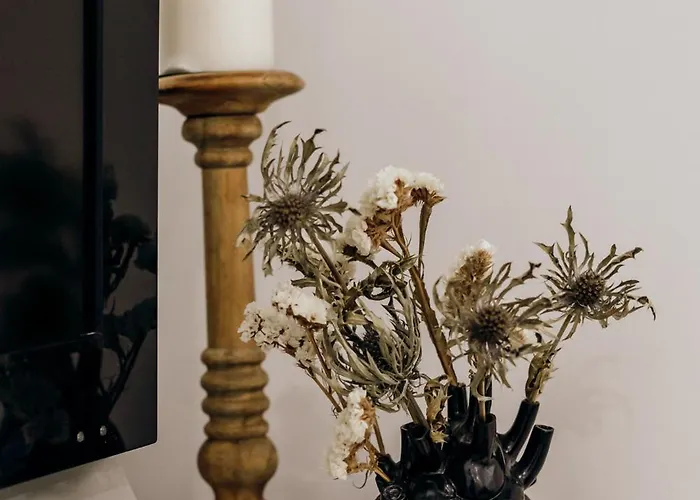 Dandy's Blue * Setúbal