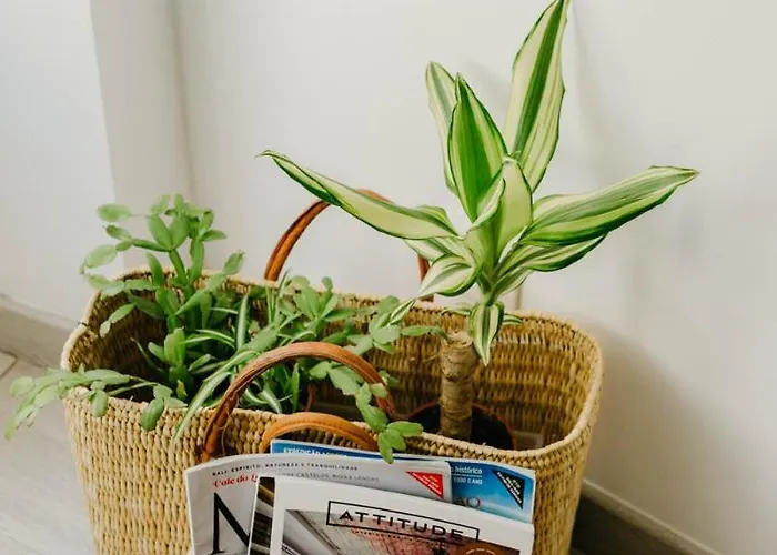 Appartement Dandy's Blue Setúbal